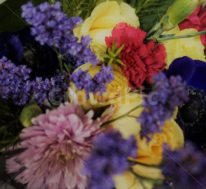 꽃,꽃다발,노란색,보라색,파랑색,초록색,식물,자연,plants,nature,꽃,flower