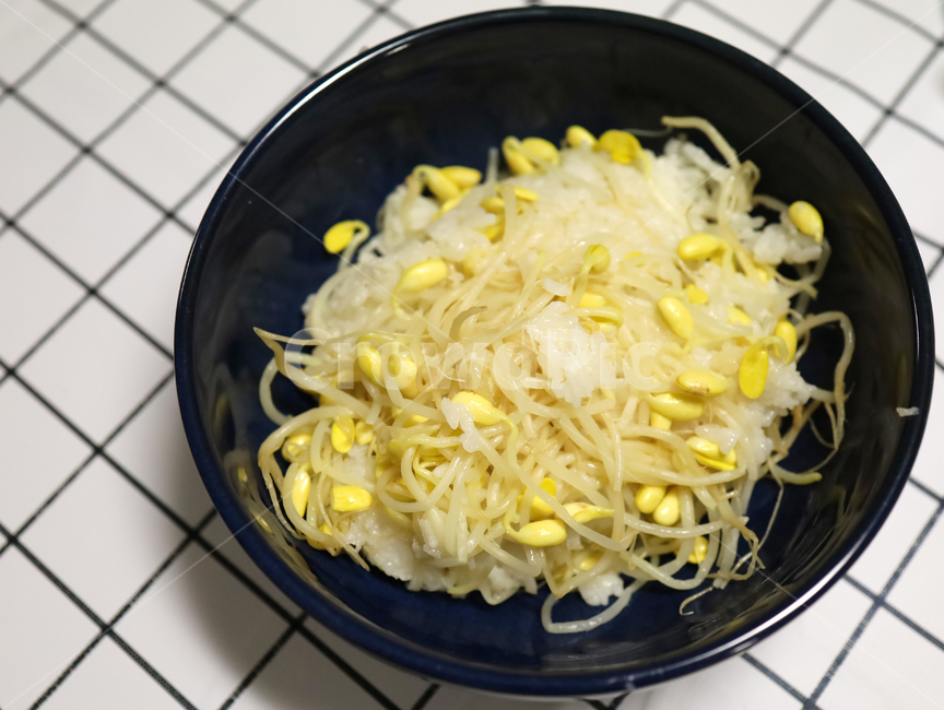 한식,food,음식,meal,식사,콩나물밥,요리,recipe,음식,식재료,요리,food,cook,meal,dishes,food reserves