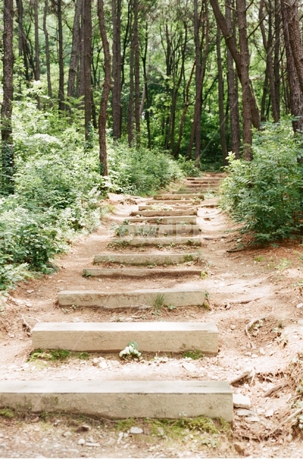 산길,계단,숲,등산,여름,필름사진,노이즈,자연,풍경,nature,landscape,path,통로