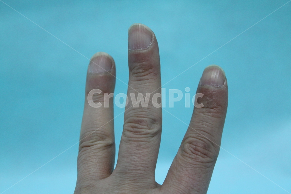 손,손가락,손가락모양,손모양,손톱,손등,신체,인체,사람,인물,인간,human,person,신체일부,몸,body