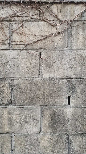 텍스쳐,텍스처,소스,이미지소스,백,back,wall,벽,벽돌