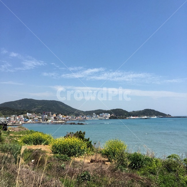 부산,기장,바다,유채꽃,산,하늘,마을,sea,자연,풍경,nature,landscape,land,땅,outdoors,옥외,shoreline,해안선,water,물,ocean,대양,coast,연안,promontory,곶