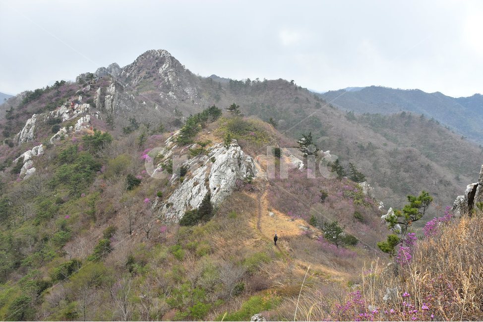 주작산,덕룡산,종주,진달래,풍경,기암,바위,비경,봄풍경,진달래꽃,강진,명산,산행,등산,마운틴,힐링,mountain,landscape,자연,natural,자연,풍경,nature,landscape,한국자연풍경,한국자연경관,korea nature landscape,slope,경사,outdoors,옥외