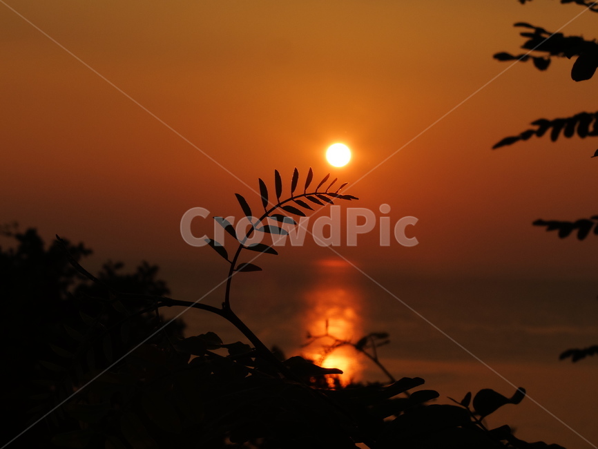 일출,해돋이,해맞이,자연,바다,자연,풍경,nature,landscape