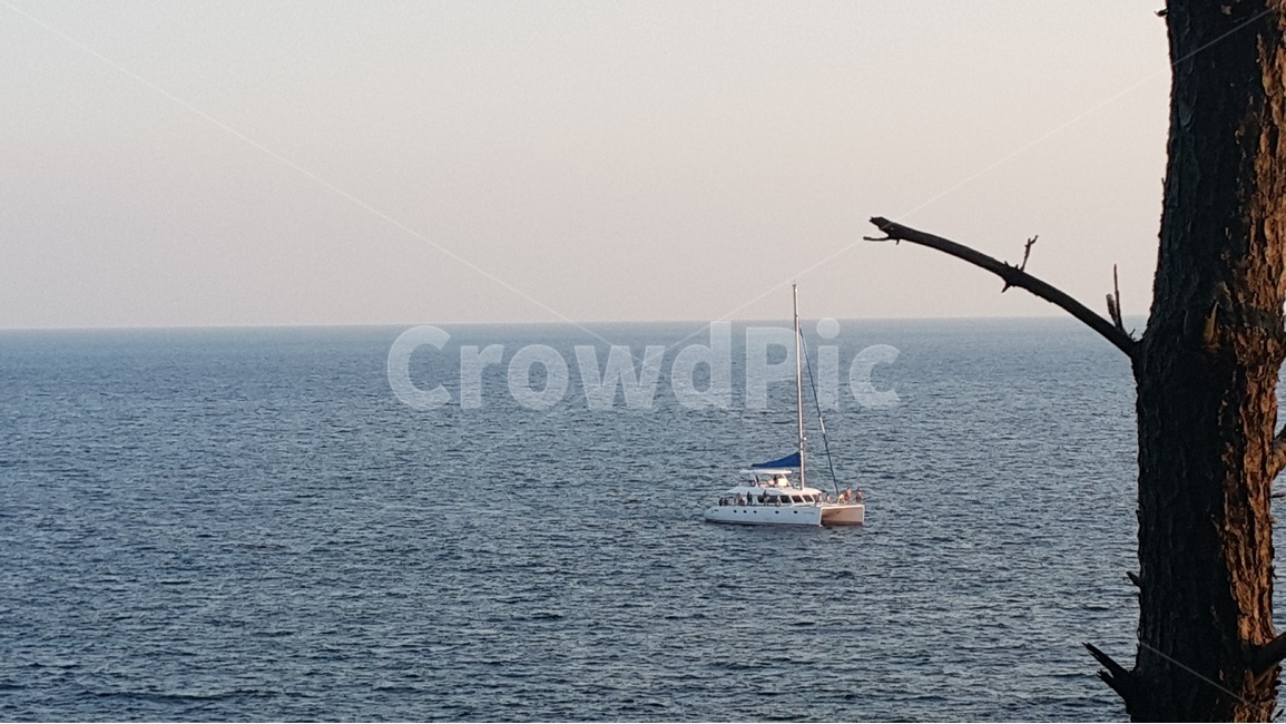 제주도,바다,요트,나무,풍경,교통,교통수단,traffic,transportation
