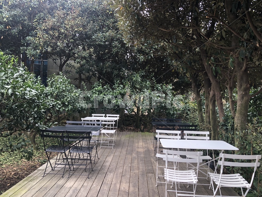 furniture,가구,chair,의자,카페,장소,조용한,나무,trees,wood,커피,카페,coffee,cafe