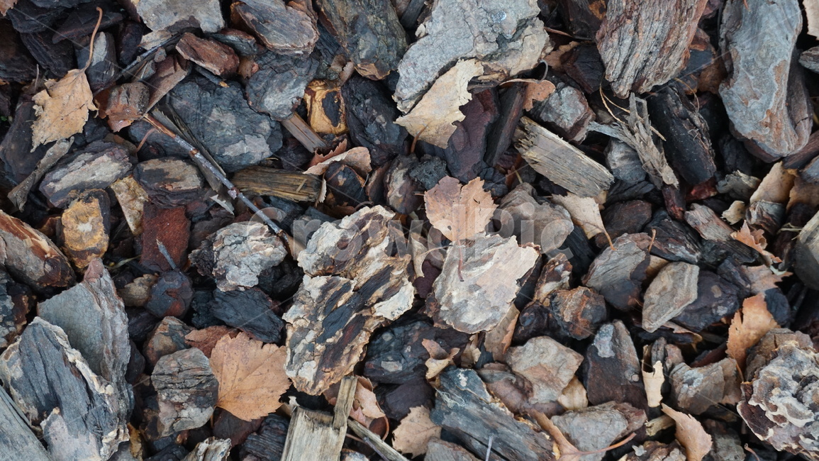 rock,pieces,tree,돌,자갈,나무조각,leaf,나뭇잎