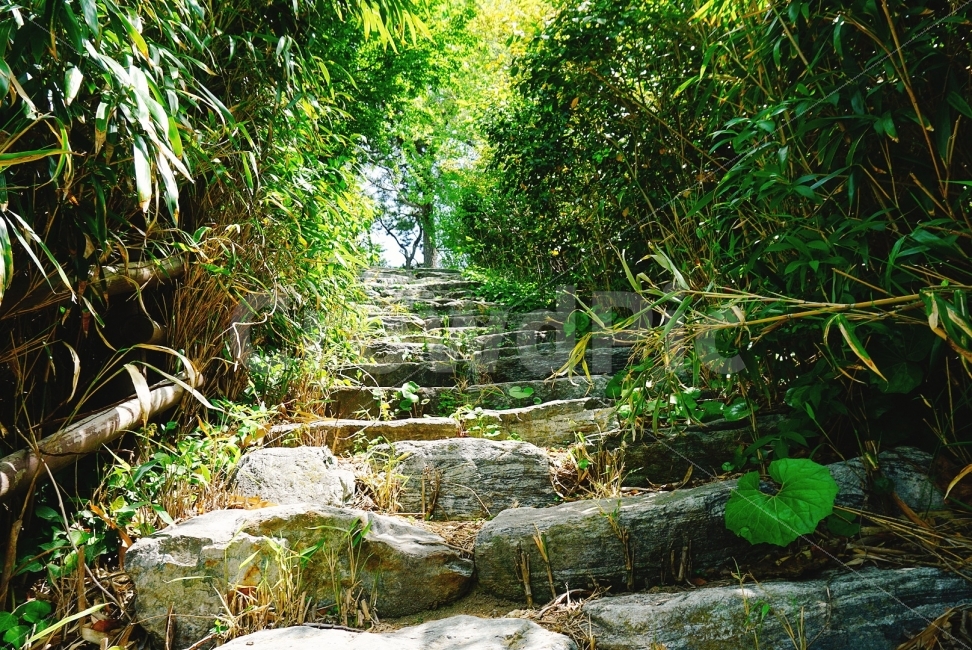 여행,travel,여행사진,국내여행,혼자여행,사진,여수,여수여행,배경사진,배경,이쁜사진,색감,색감좋은사진,풍경,풍경사진,사도,섬여행,섬,계단,돌계단,풀,자연,자연,풍경,nature,landscape