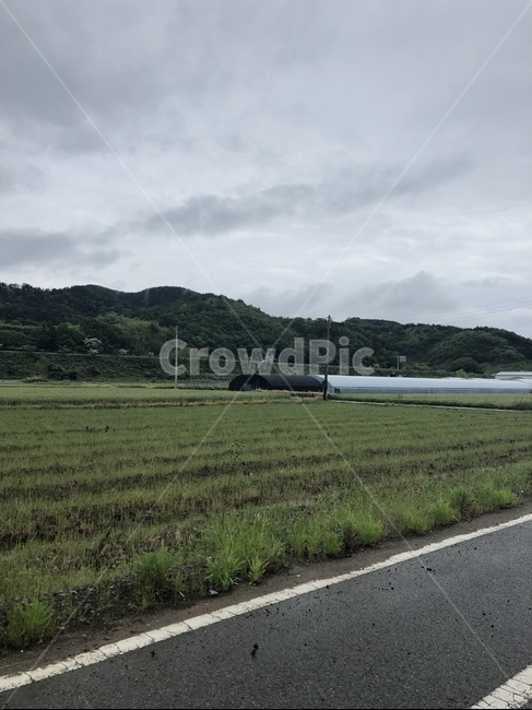 논밭,논,밭,도로,어둑,구름,하늘,자연,자연,풍경,nature,landscape,asphalt,아스팔트,airport,공항,airfield,비행장