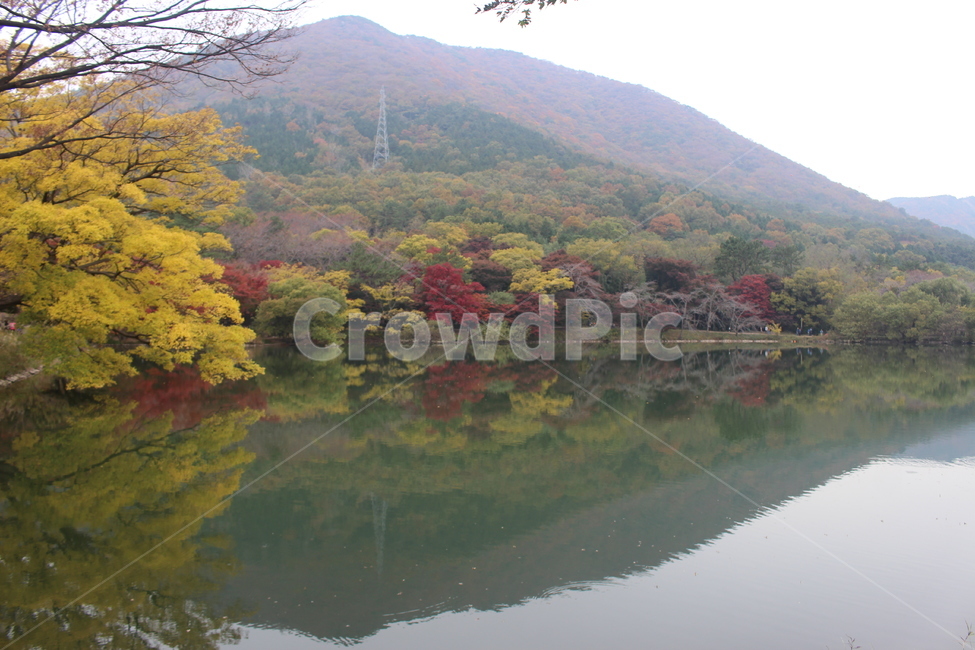 가을,연못,단풍,nature,자연,water,물,outdoors,가을,계절,fall,autumn,season