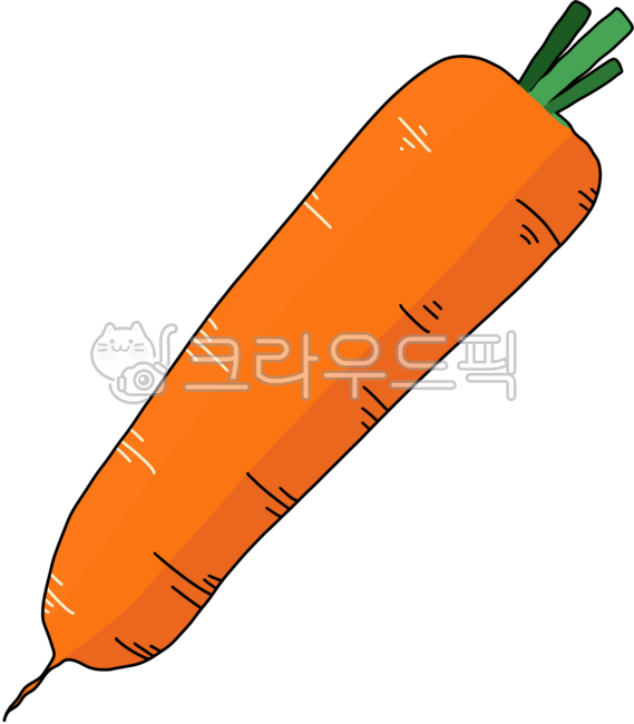 carrots,carrot,red beet,orange carrot,agricultural products,organic,cooking,ingredients,business,vegetables,greens