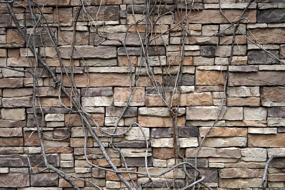 벽,벽돌,돌,돌벽돌,견고함,건축,건축재료,wall,brick,stonebrick,sturdy,단단함,견딤,조화,strong,solid,safety,식물,자연,plants,nature