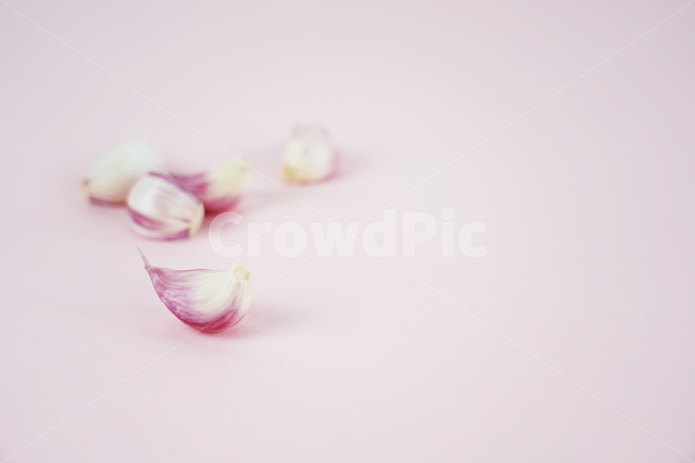 마늘,음식,식품,요리재료,음식재료,식재료,양념,한식,통마늘,재료,농작물,음식,식재료,요리,food,cook,meal,dishes,food reserves