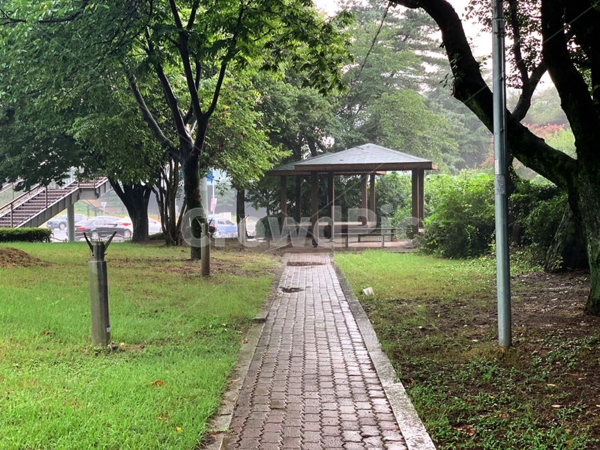촉촉,비온후,길,자연,풍경,감성,감성사진,road,nature,afterrain