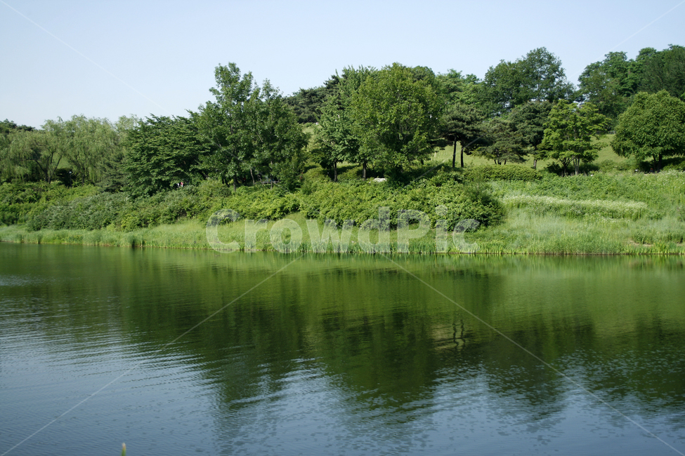 호수,여름,식물,물결,공원,초록,숲,파랑,컬러,자연,풍경,nature,landscape,water,물,outdoors,옥외,land,땅