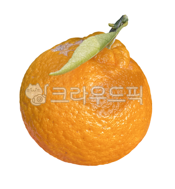 제주한라봉,한라봉,감귤,한라봉누끼,한라봉png,감귤류과일,citrusfruit,과일,fruit,누끼,png