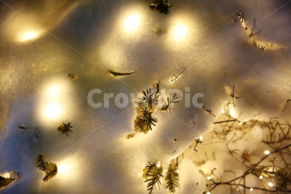 빛,겨울,눈,야경,분위기,감성,light,nightview,winter,feeling,emotion,color,따뜻함,식물,plant,겨울,계절,winter,season,야경,밤,풍경,nightscape,night,landscape,감성,sensible,feeling,flare,플레어