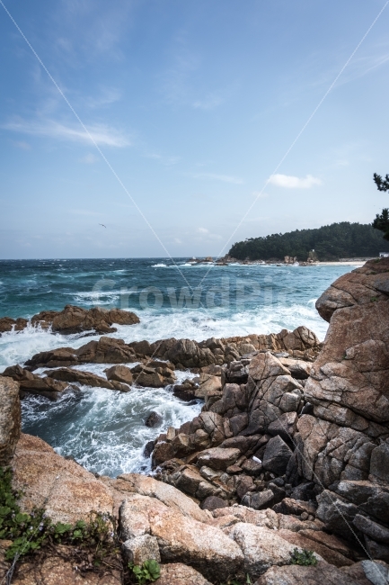 바다사진,하조대,바다,동해,동해바다,자연,풍경,nature,landscape,한국자연풍경,한국자연경관,korea nature landscape,promontory,곶