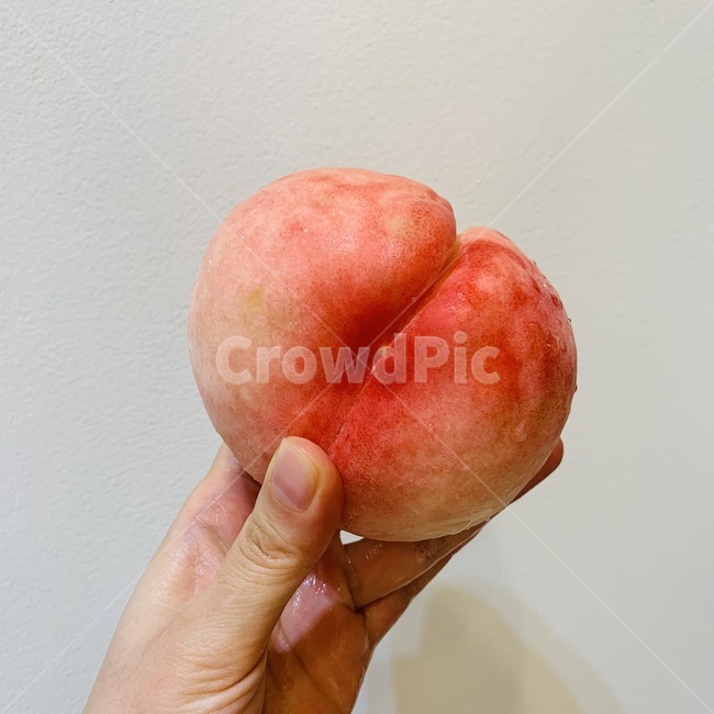 과일,열대과일,복숭아,딱딱이복숭아,계절과일,핑크,하트