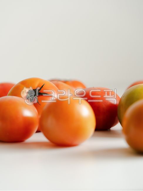 토마토,tomato,신선한채소,채소,빨간토마토,신선식품,야채,식재료,신선한재료,채소정물,자연식재료,건강한채소,신선한,자연광,유기농,organic,tomatoes,freshvegetable,fresh,freshtomato,요리재료