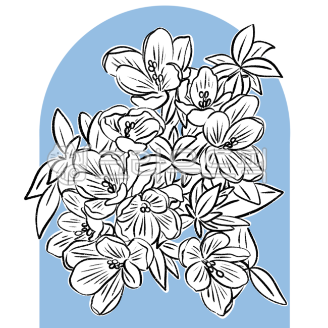 꽃,꽃그림,꽃일러스트,꽃스티커,라인드로잉,드로잉,스티커,컬러스티커,플라워,다꾸스티커,다꾸,이름스티커,꾸미기,식물,식물그림,플로랄디자인,floraldesign,pattern,무늬