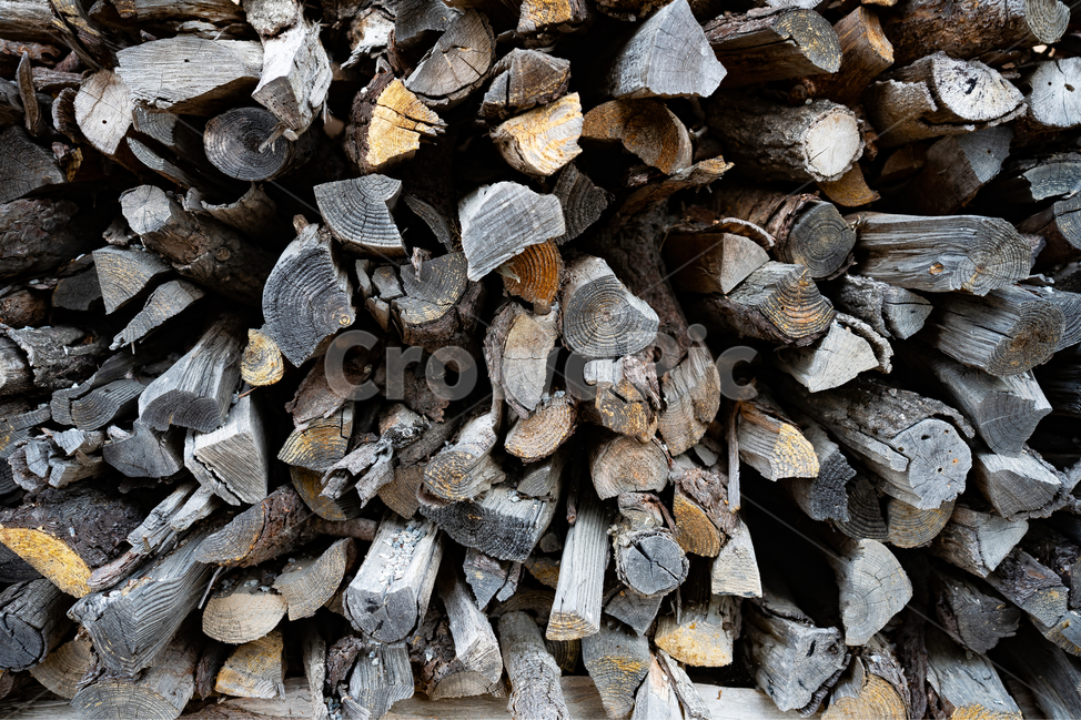 나무,장작,tree,조각,자연,나무,trees,wood