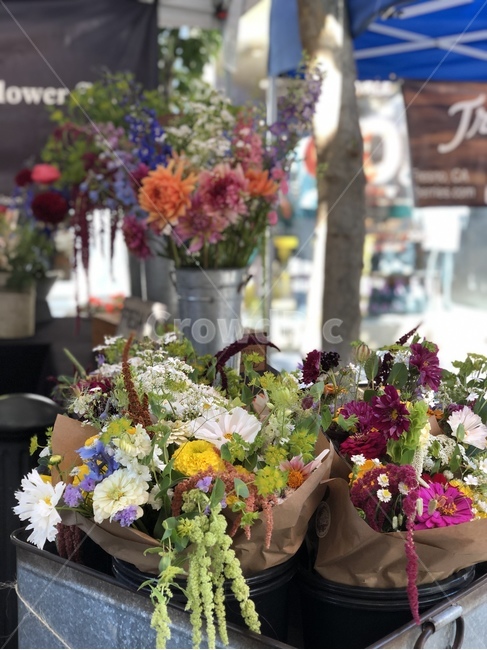 꽃다발,꽃포장,꽃시장,flower,꽃선물
