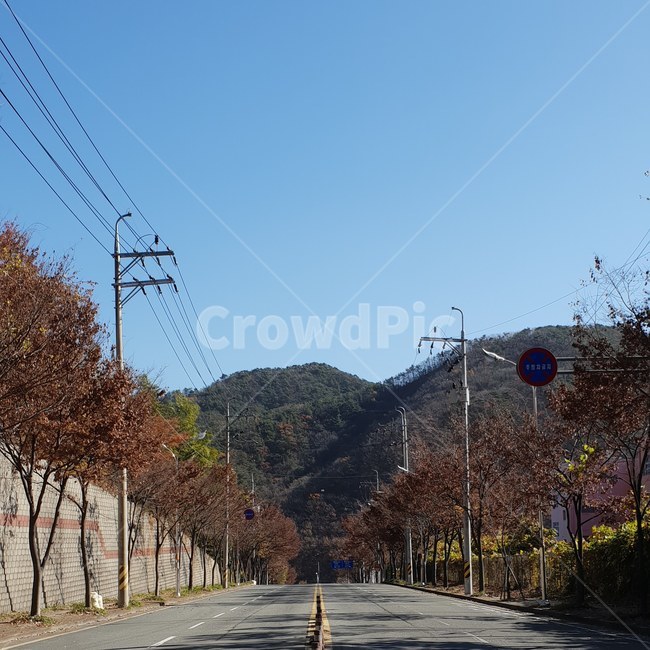 풍경,자연,가을,단풍,도로