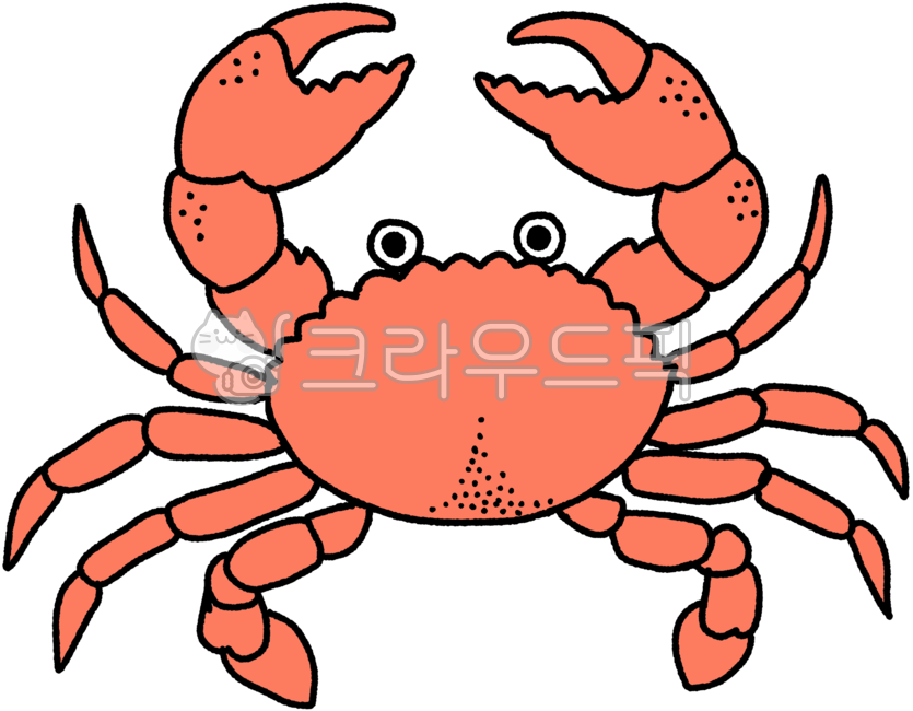 게,꽃게,해산물,수산시장,바다,집게,갑각류,껍질