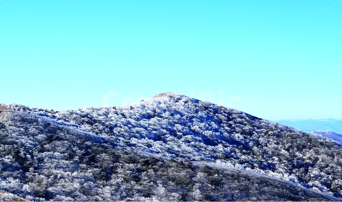 소백산,비로봉,눈,상고대,주목,하늘,겨울,계절,winter,season,자연,풍경,nature,landscape,outdoors,옥외