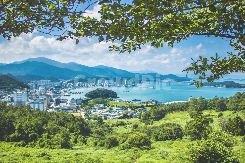 nature,자연,옥외,outdoors,scenery,풍경,landscape,경치,plant,식물,tree,나무,sky,하늘,blue,완도,wando,korea,한국,여름,봄,바다,sea,도시,풍경,city,landscape,한국도시풍경,한국도시경관,korea cityscape