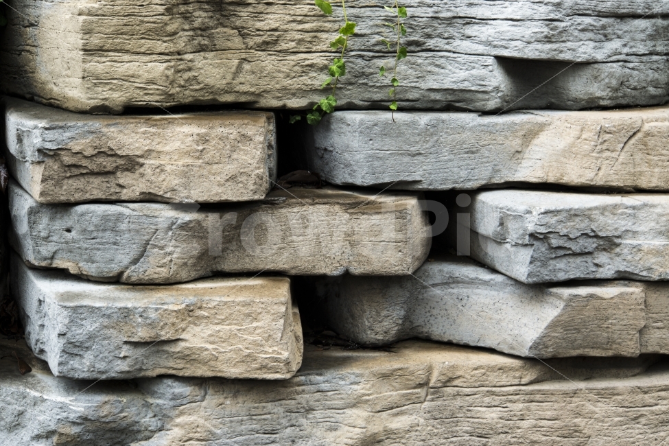 돌담,비오는날,여름,울산,울산대공원,패턴,wall,stone,rock,벽,텍스처,질감,패턴,texture,pattern