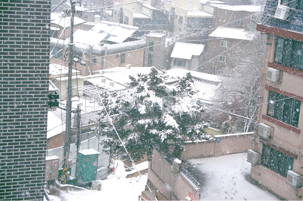 눈,snow,풍경,감성사진,도시,감성,landscape,건물,nature,city,배경,겨울,계절,winter,season,도시,풍경,city,landscape,한국도시풍경,한국도시경관,korea cityscape,자연,blizzard,눈보라,storm,폭풍,outdoors,옥외