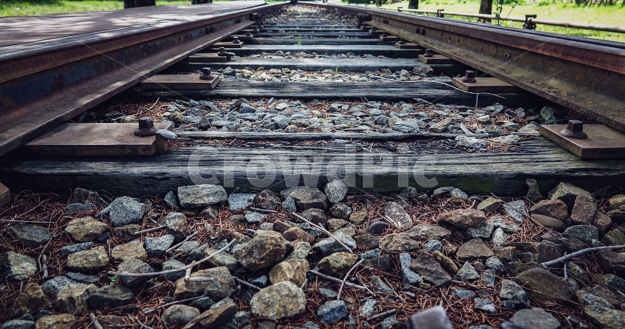 기차,철길,폐역,기차역,레일로드,train,railroad,교통,교통수단,traffic,transportation