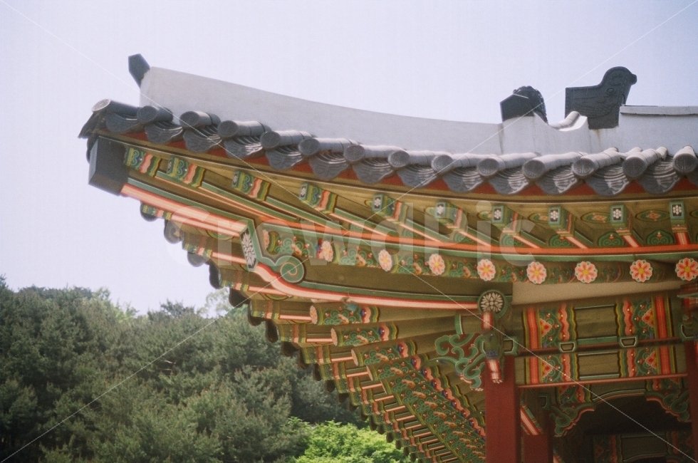 전통,한옥,기와집,기와,단청,필름사진,전통집,건축물,건물외관,exterior,building,structure,architecture,construction,한국전통,한국문화,korean traditional,korean culture