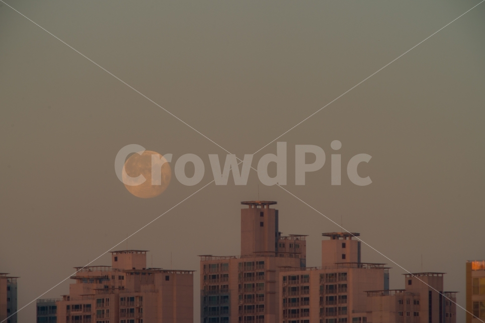달,보름달,건물,아침,아파트,분위기,하늘,감성,fullmoon,building,apartment,mood,sunrise,sky,sensitive,도시,풍경,city,landscape,nature,자연,outdoors,옥외