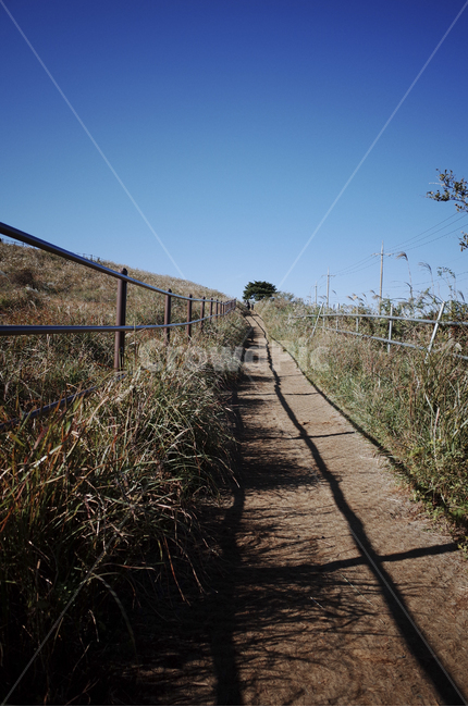 boardwalk,산책로,field,들,hill,언덕,outdoors,옥외,하늘,sky,bluesky,파란하늘,푸른하늘,nature,자연