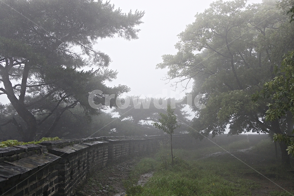 남한산성,성,성곽,길,둘레길,숲,숲길,안개,담,돌담