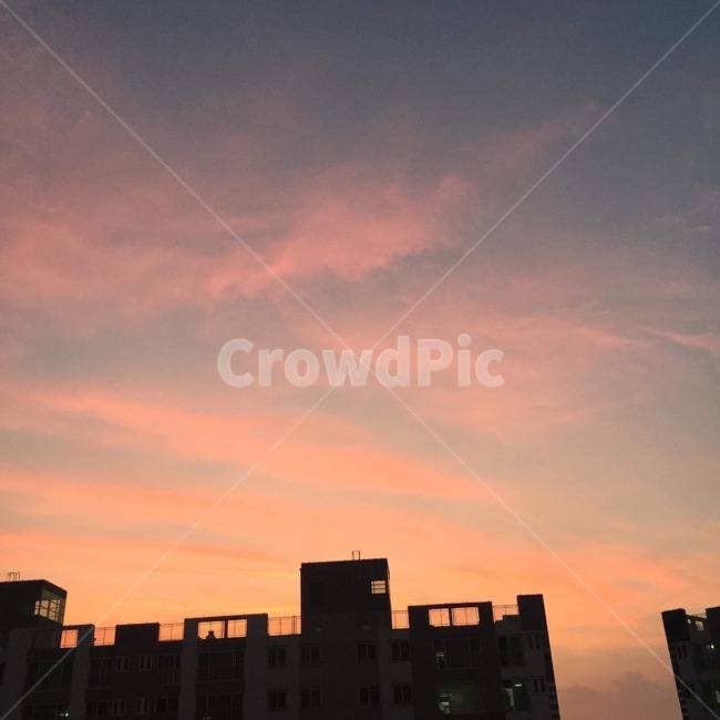 저녁,핑크,하늘,아파트,감성,도시,풍경,city,landscape,nature,자연,outdoors,옥외,silhouette,실루엣