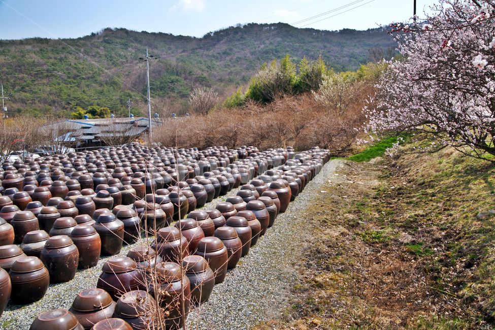 장독,항아리,서운암,양산,통도사,말사,영축산,남봉화상,전통,장,사찰,한국전통,한국문화,korean traditional,korean culture,사물,물건,오브젝트,thing,object,matter