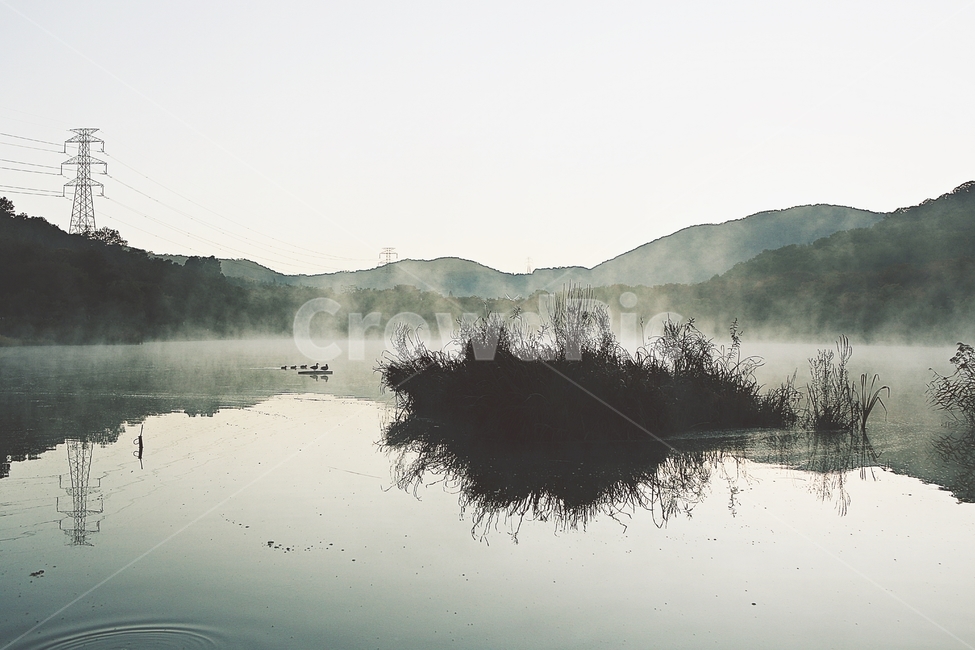 호수,인천대공원,물안개,새벽,아침,풍경,자연,식물,물,자연,풍경,nature,landscape,한국자연풍경,한국자연경관,korea nature landscape