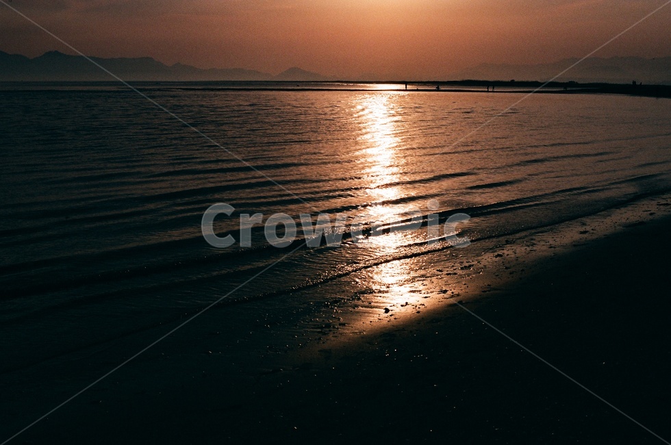 필름사진,일몰,석양,노을,바다,해수욕장,윤슬,자연,햇빛,옥외,nature,sunlight,아련한,따뜻함