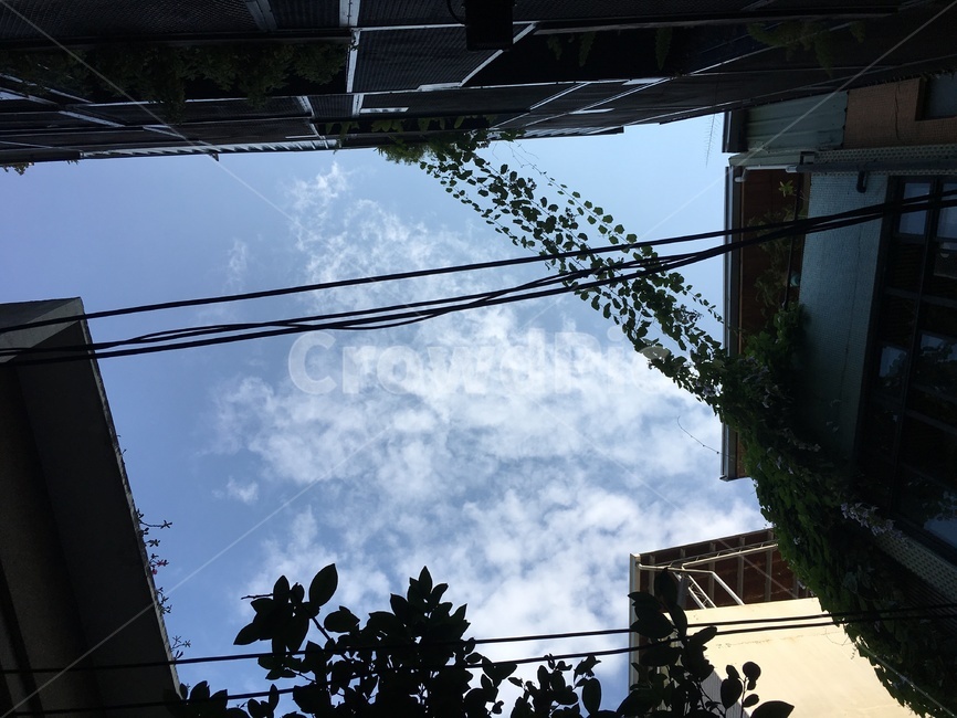 골목,대만,전선,하늘,도시,추억,자연,풍경,nature,landscape