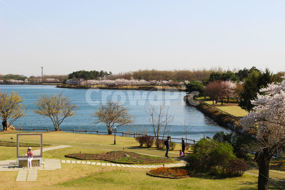 outdoors,옥외,호수공원,호수,lake,lakepark,휴식,자연,공원,park,가족,일산호수공원,나들이,가족나들이,벚꽃놀이,꽃놀이,자연,풍경,nature,landscape
