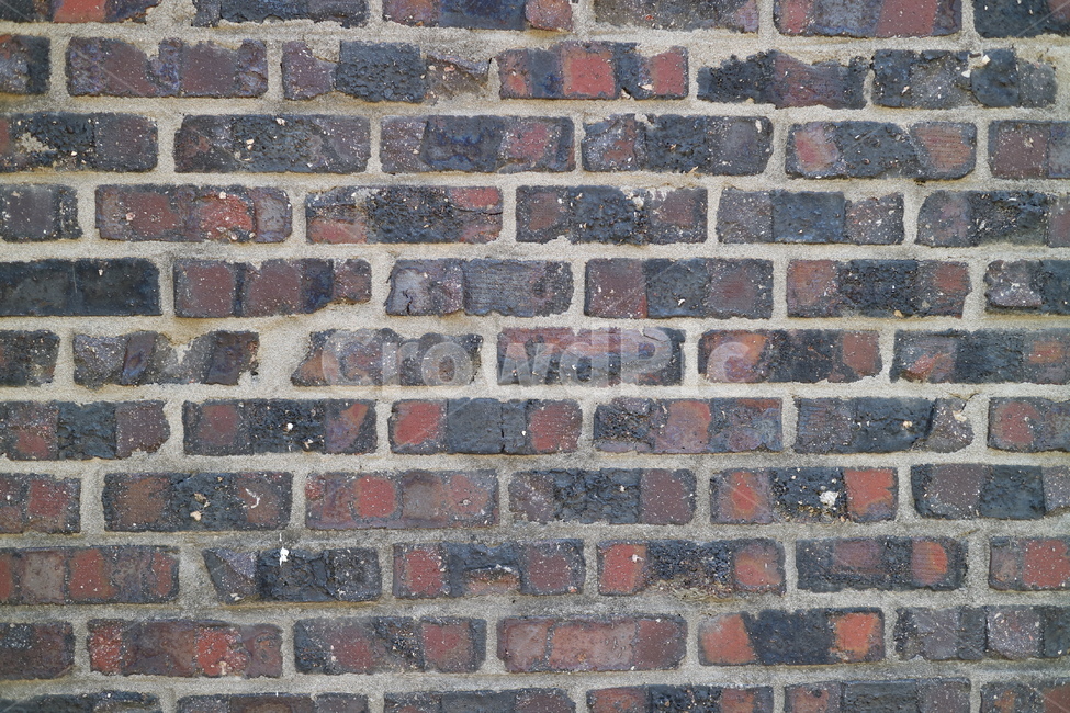 brick,벽돌,wall,벽,배경,야외