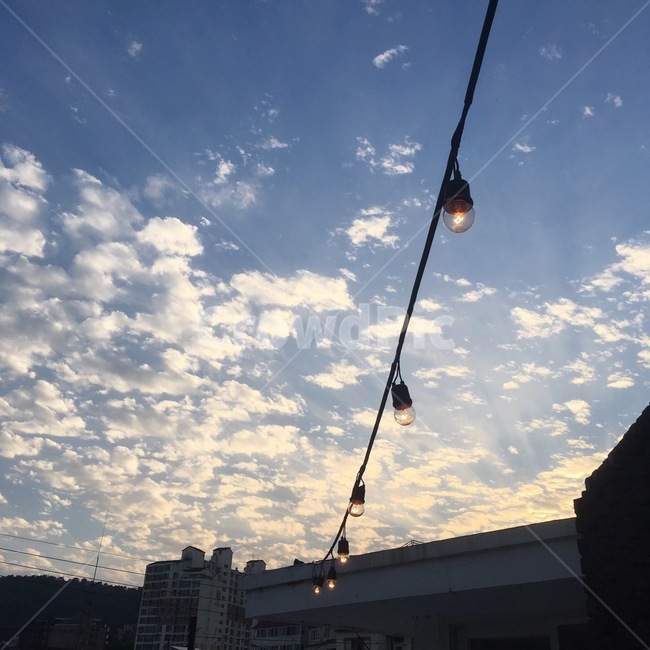 하늘,하늘풍경,구름,구름풍경,구도,나무,나무풍경,해질녘,노을,전구,색채,색감