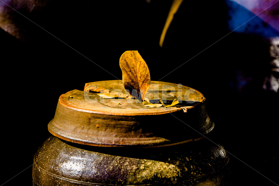 항아리,독,가을,낙엽,전통,문양,가을,계절,fall,autumn,season,한국전통,한국문화,korean traditional,korean culture,사물,물건,오브젝트,thing,object,matter