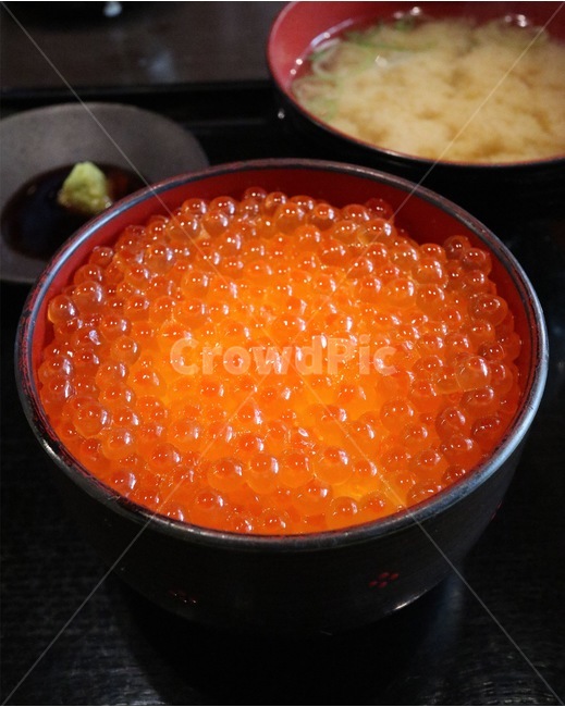 음식,이쿠라동,연어알,연어알덮밥,덮밥,일본음식,japan,food,음식,식재료,요리,food,cook,meal,dishes,food reserves,일식,일본음식,일본요리,Japanese food,Japanese dishes,Japanese meal,Japanese cook