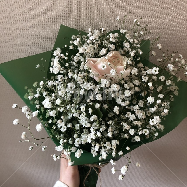 꽃,꽃다발,선물,봄,꽃선물,꽃,flower,기념일,축하,anniversary,congratulation,celebrate,celebration