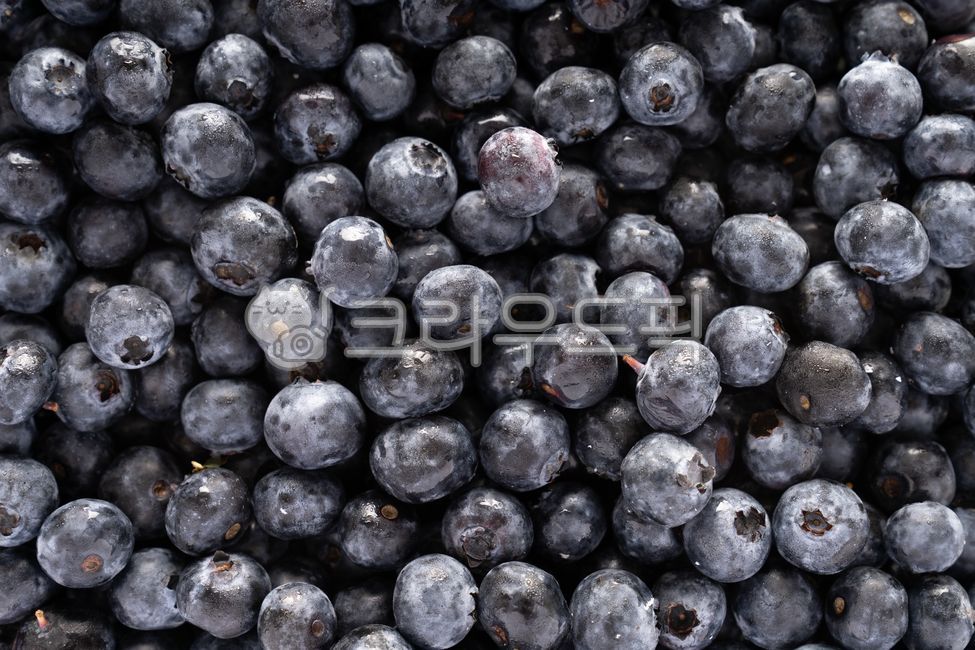 Fruit,fruit,blueberries,superfood,health,detox,food,wellbeing,ingredients,super food,diet,anthocyanin,Blueberries
